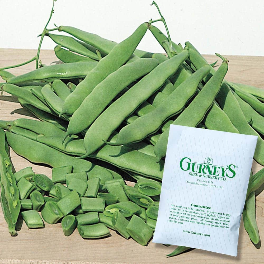 Bush Bean Roma II (2 lbs. Seed Packet) - Hercitys