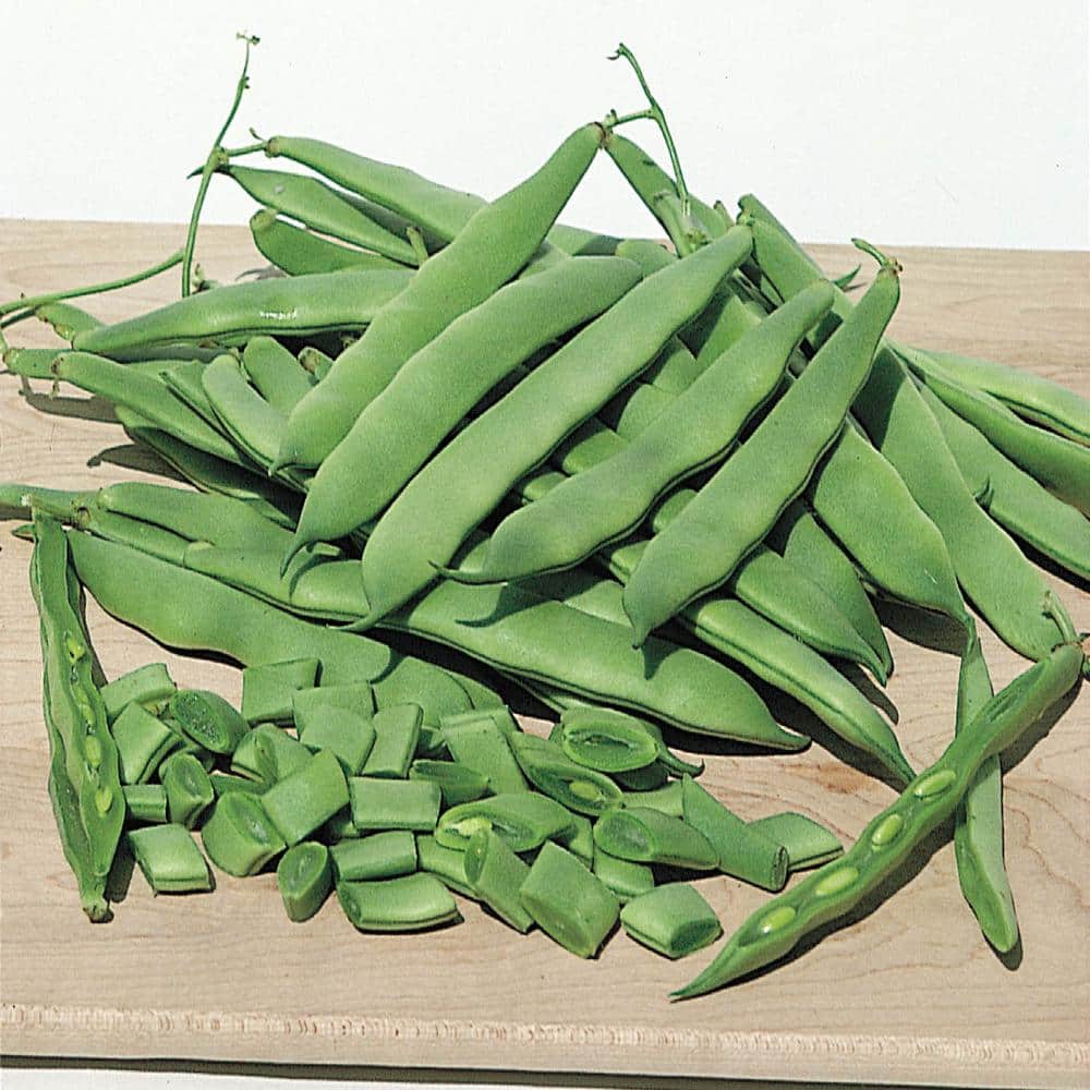 Bush Bean Roma II (2 lbs. Seed Packet) - Hercitys