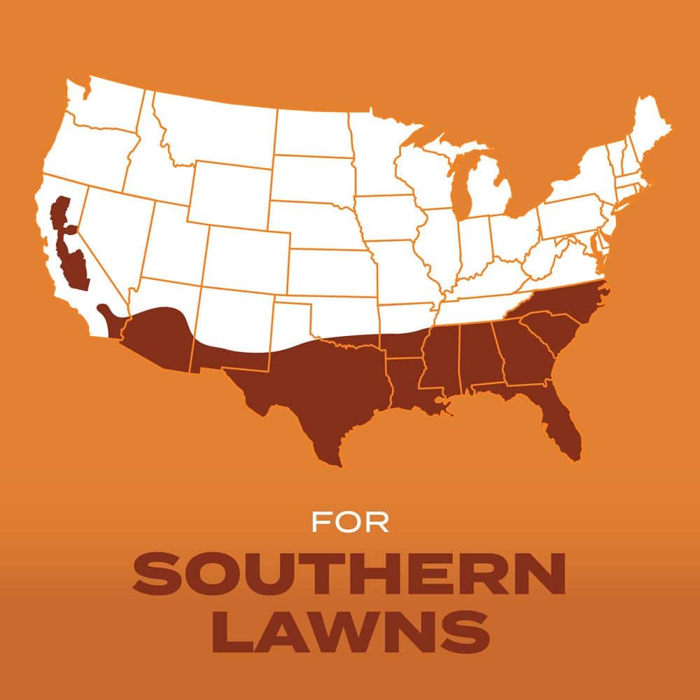 Turf Builder 1 lb. Grass Seed Bermudagrass with Fertilizer and Soil Improver, Drought-Tolerant - Hercitys