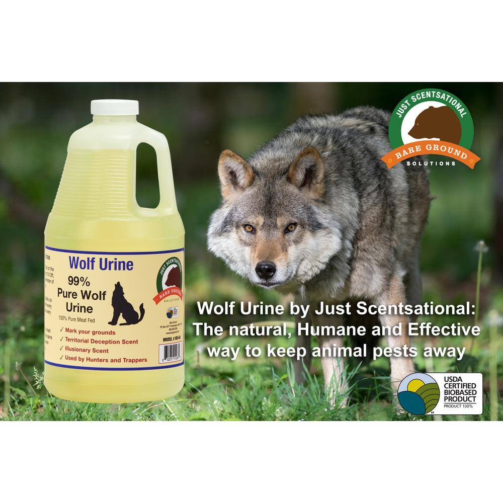 Wolf Urine 64 oz. Outdoor Organic Spray on Animal Deterrent Killer 64 oz. bottle - Hercitys