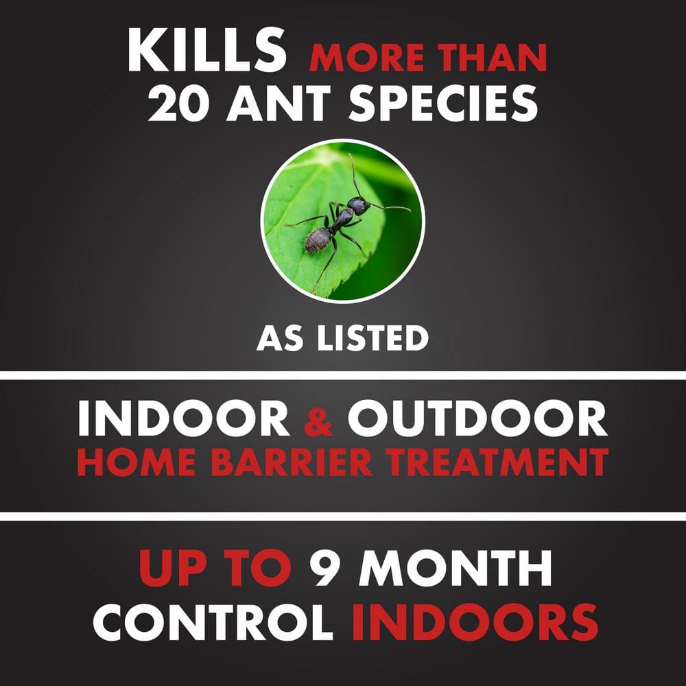 Ant Shield 1 gal. Ready-to-Use Insect Killer - Hercitys