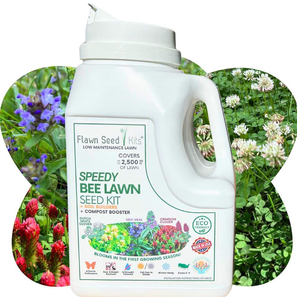 Speedy Bee Lawn Flower Seed, Easy Spread Shaker, Low Mnt, Pet, Kid, Eco-Friendly, Regenerative, Covers Up to 2,500 Sqft. - Hercitys