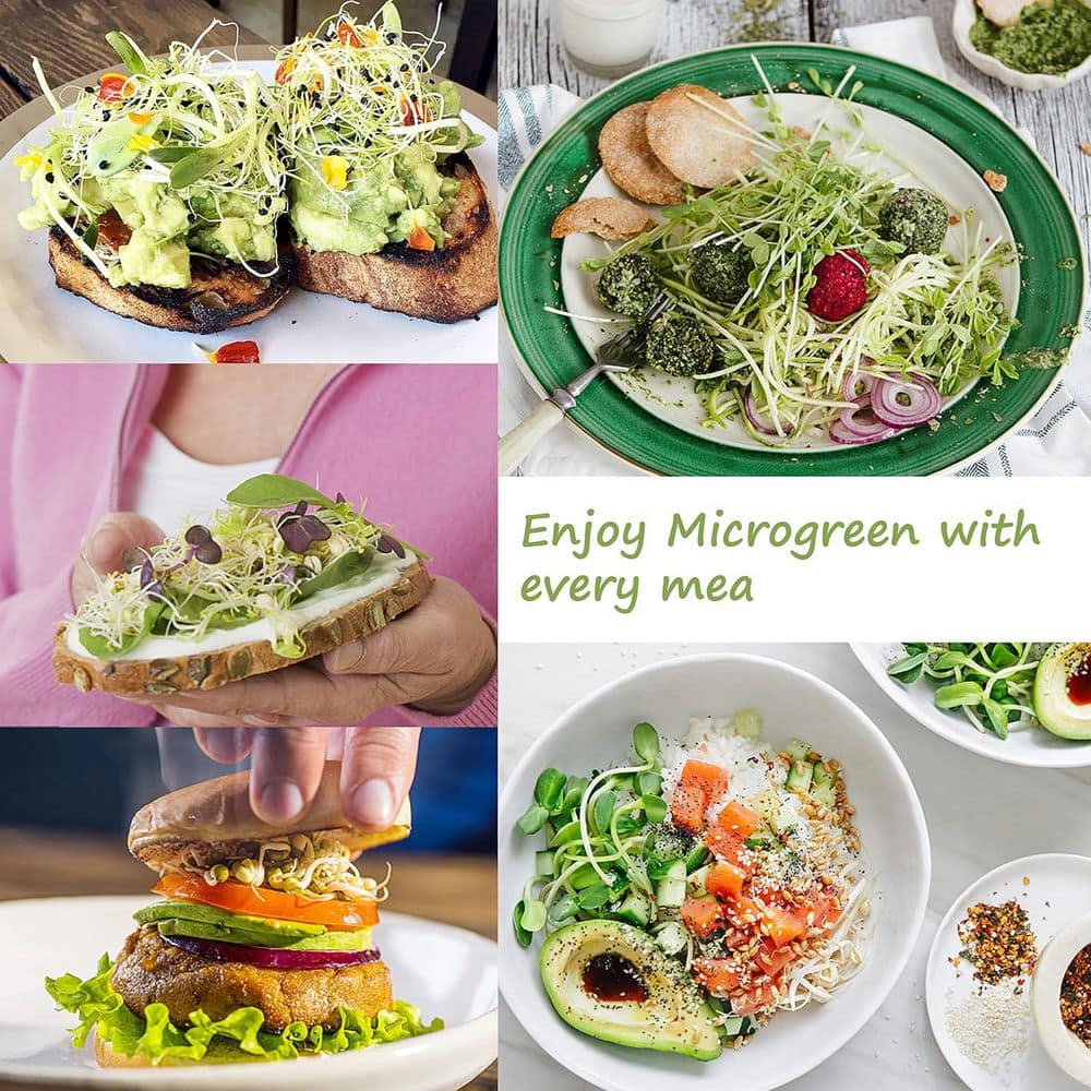 Sprouting Kit with Humidity Dome BPA-Free Small Mesh Holes for Microgreen Seeds Like Broccoli Alfalfa 4-Pack - Hercitys