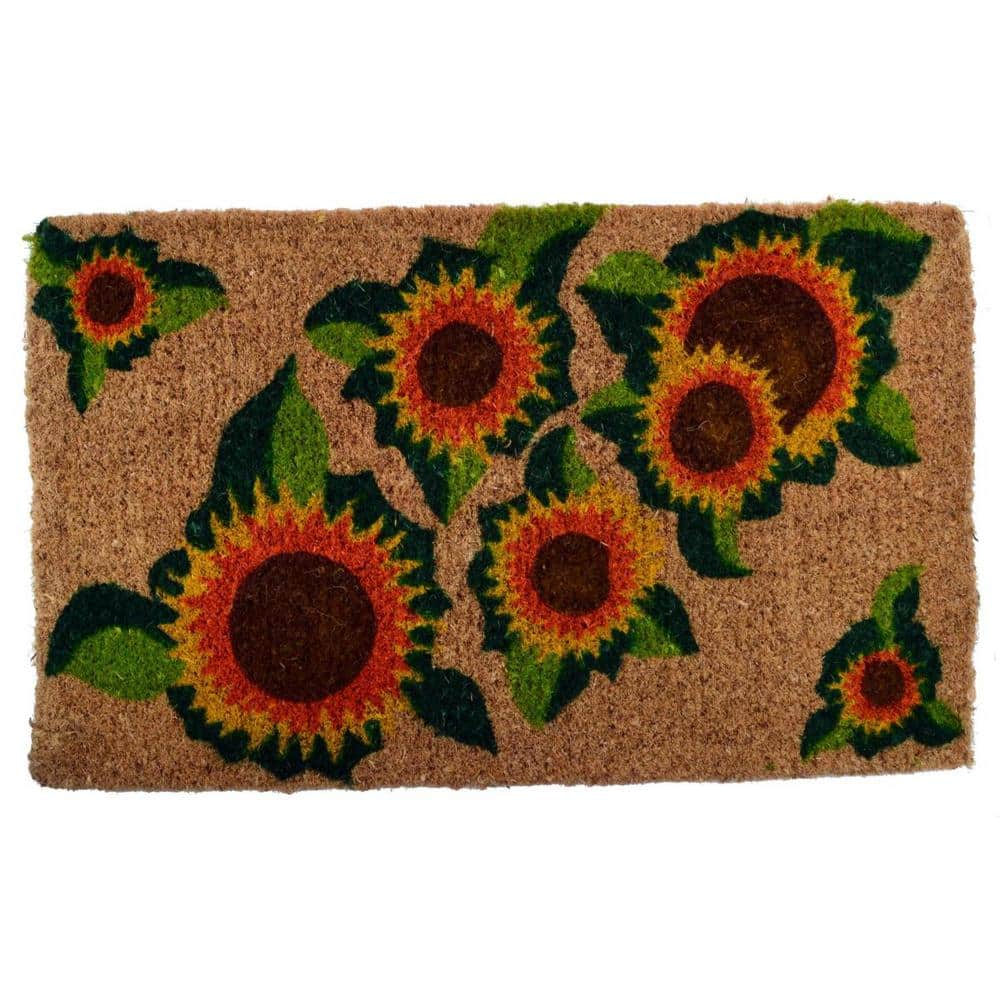 Multi-Colored 30 in. x 18 in. Coir Non-Slip Indoor/Outdoor Door Mat - Hercitys