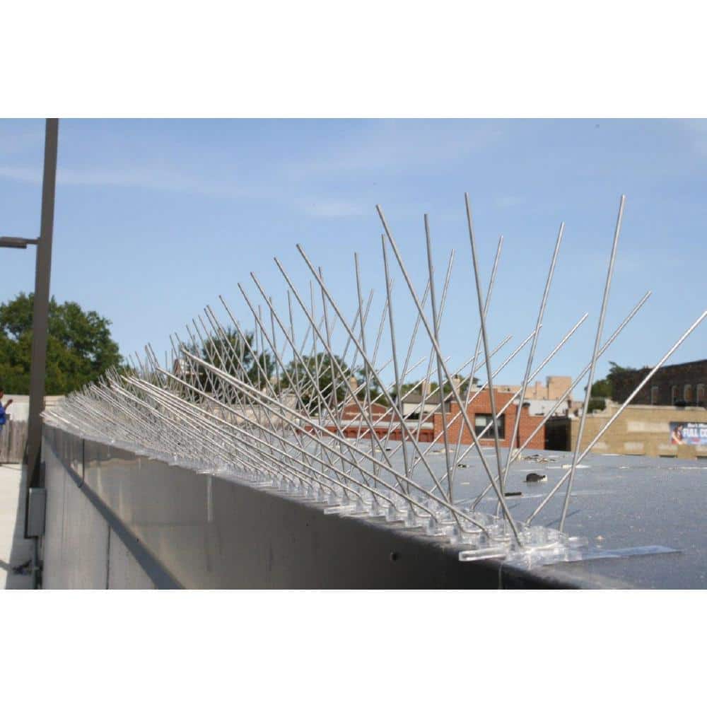 Original Stainless Steel Bird Spikes 100 ft. Pigeons Starlings Blackbirds Seagulls 6 in. Coverage - Hercitys
