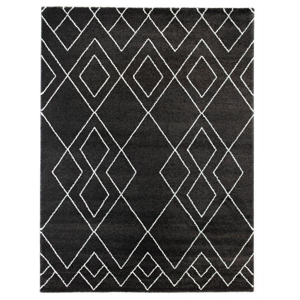 Clara Black 5 ft. x 7 ft. Area Rug - Hercitys