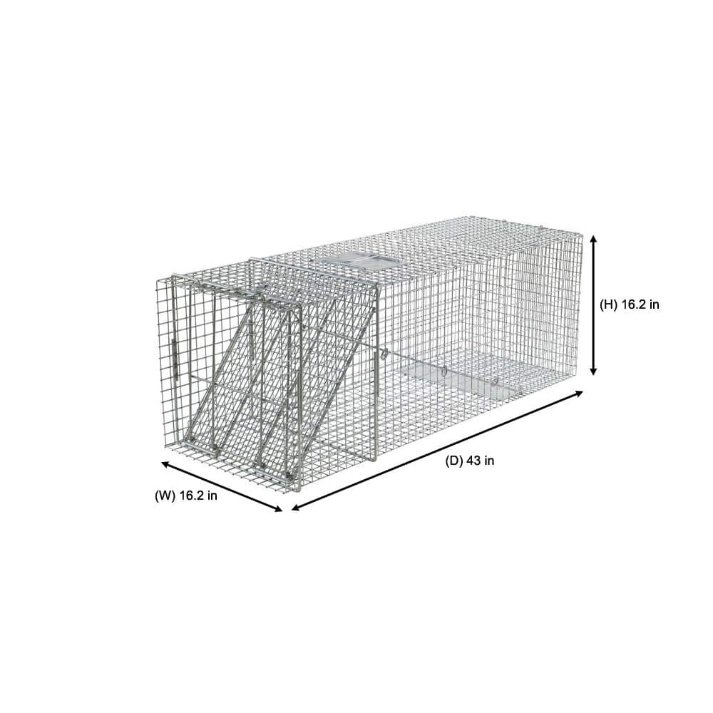 X-Large 1-Door Professional Humane Catch-and-Release Live Animal Cage Trap for Beaver, Racoon, Opossum, and Groundhog - Hercitys