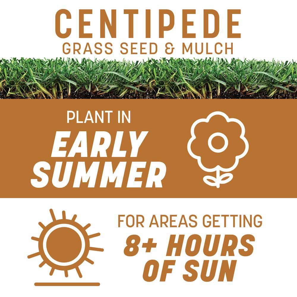 Centipede 5 lb. 2,000 sq. ft. Grass Seed and Mulch - Hercitys