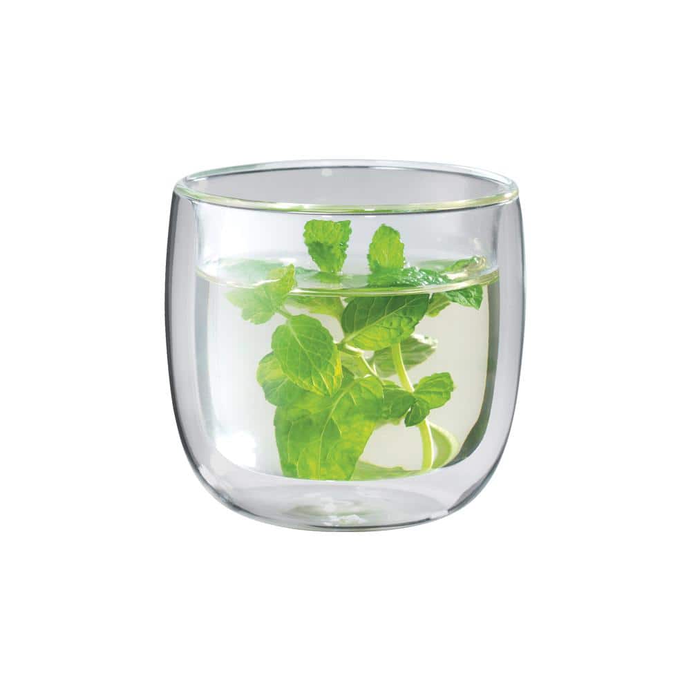 Sorrento 2-pc Double-Wall Glass Tea Cup Set - Hercitys