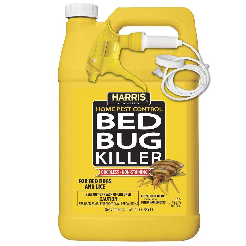 Large Bed Bug Kit - Hercitys