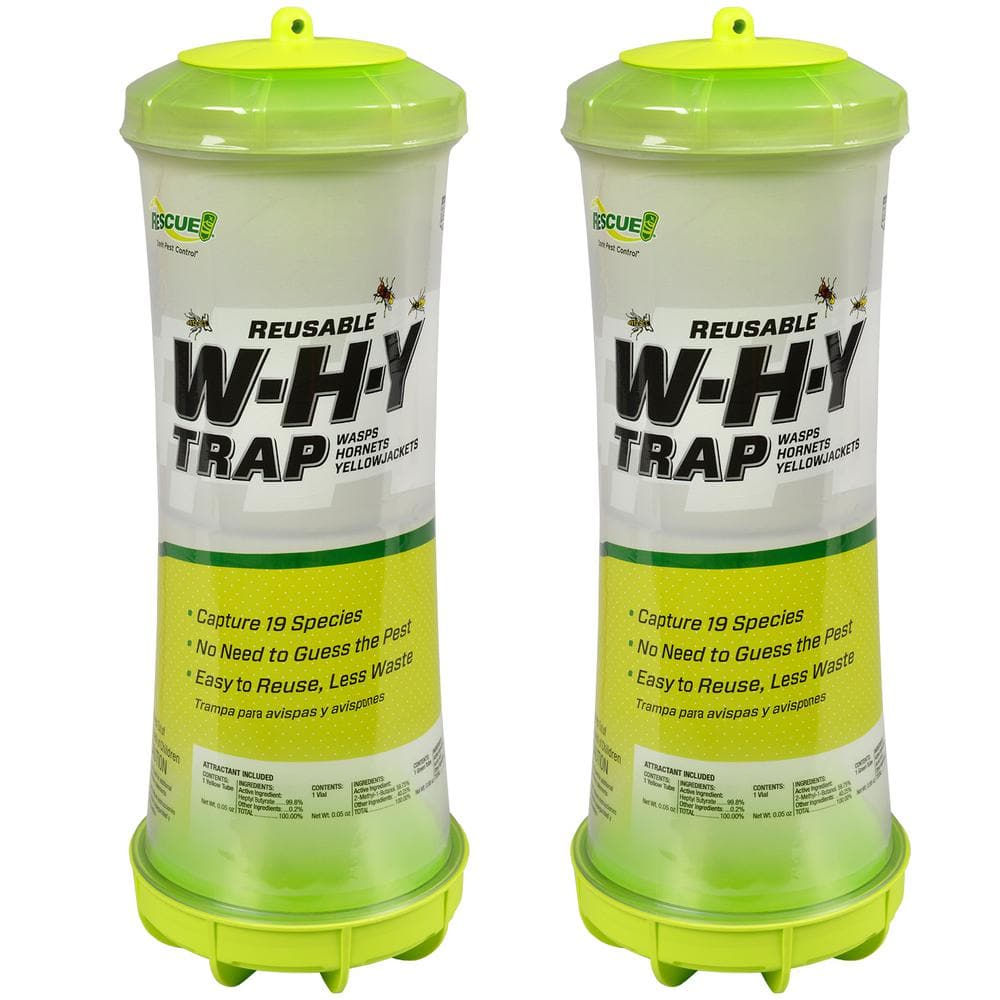 WHY Trap for Wasps, Hornets and Yellowjackets (2-Pack) - Hercitys