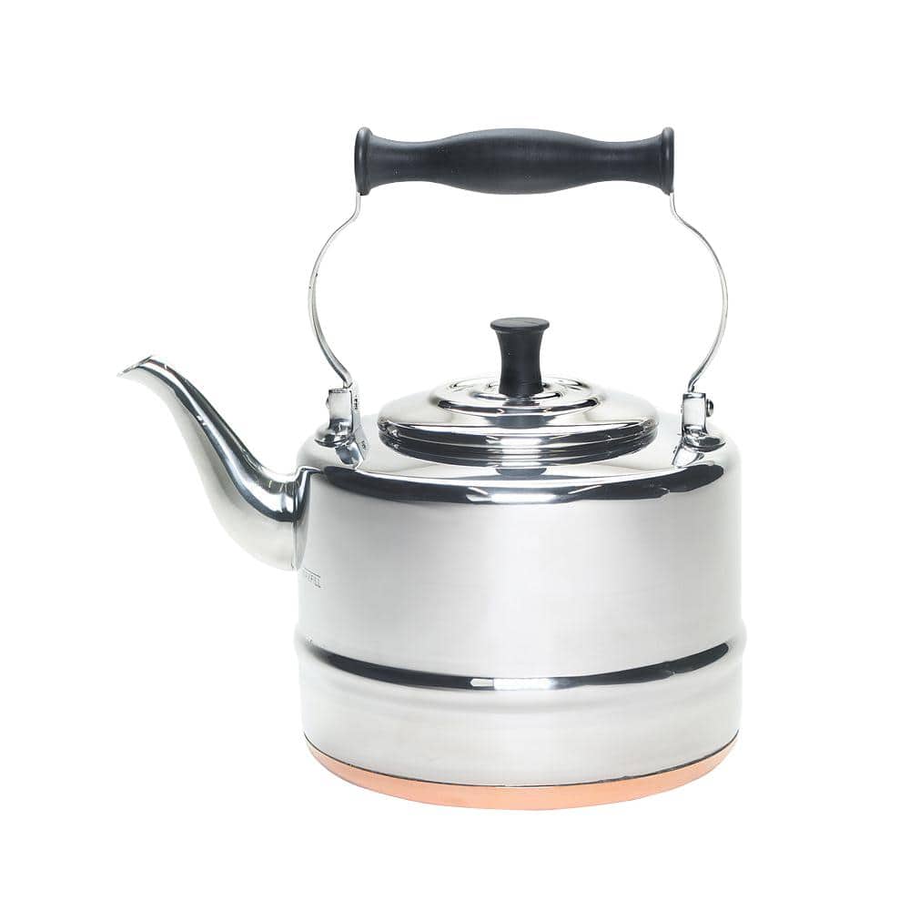 8-Cup Stovetop Tea Kettle in Silver - Hercitys
