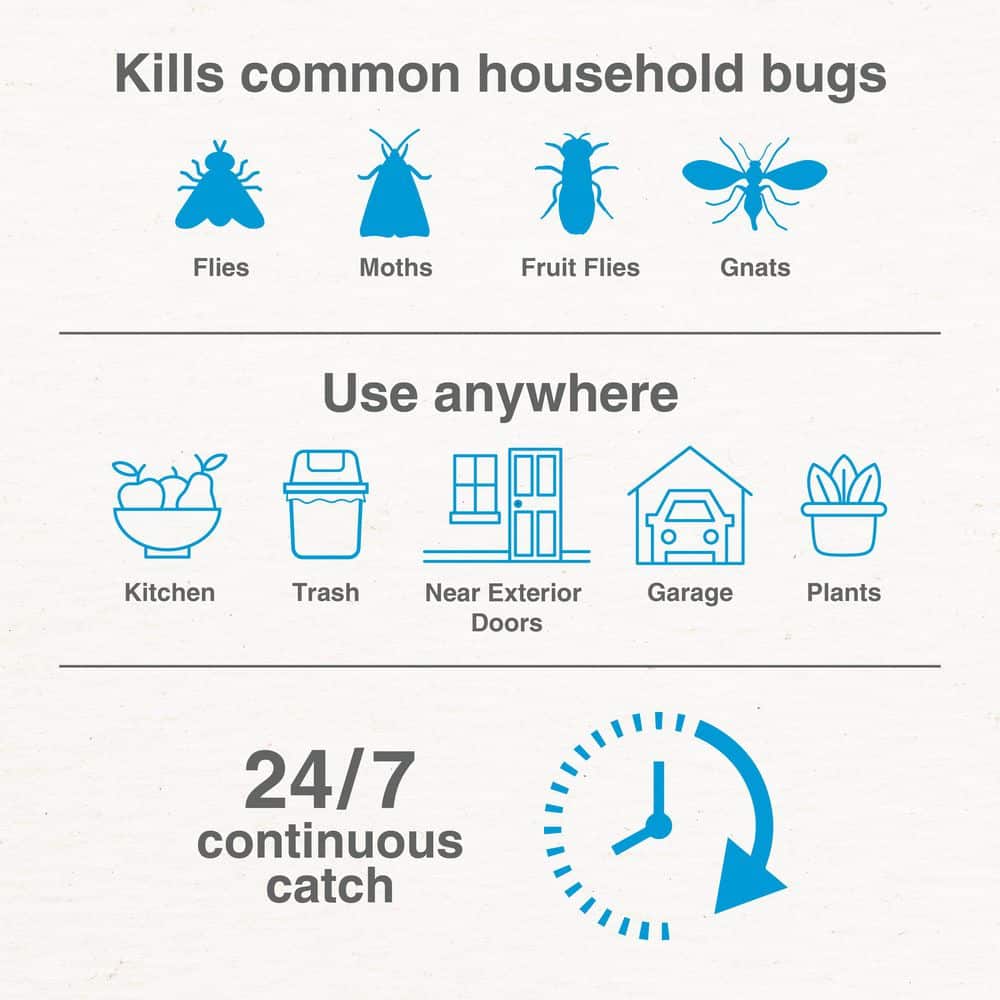 Safer Home Indoor Flying Insect Trap for Fruit Flies, Gnats, Moths, House Flies (2 Plug-In Bases + 2 Refill Glue Cards) - Hercitys