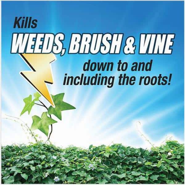 Weed, Brush and Vine Killer, 32 oz. Concentrate - Hercitys