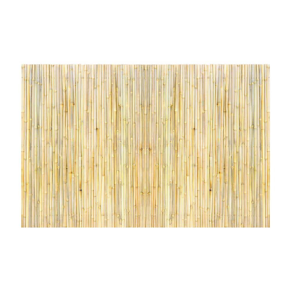 Natural Rolled Bamboo Fence, Eco-Friendly 6 ft. H x 8 ft. L x 0.75 in. D Privacy Screen for Garden, Backyard, Patio - Hercitys