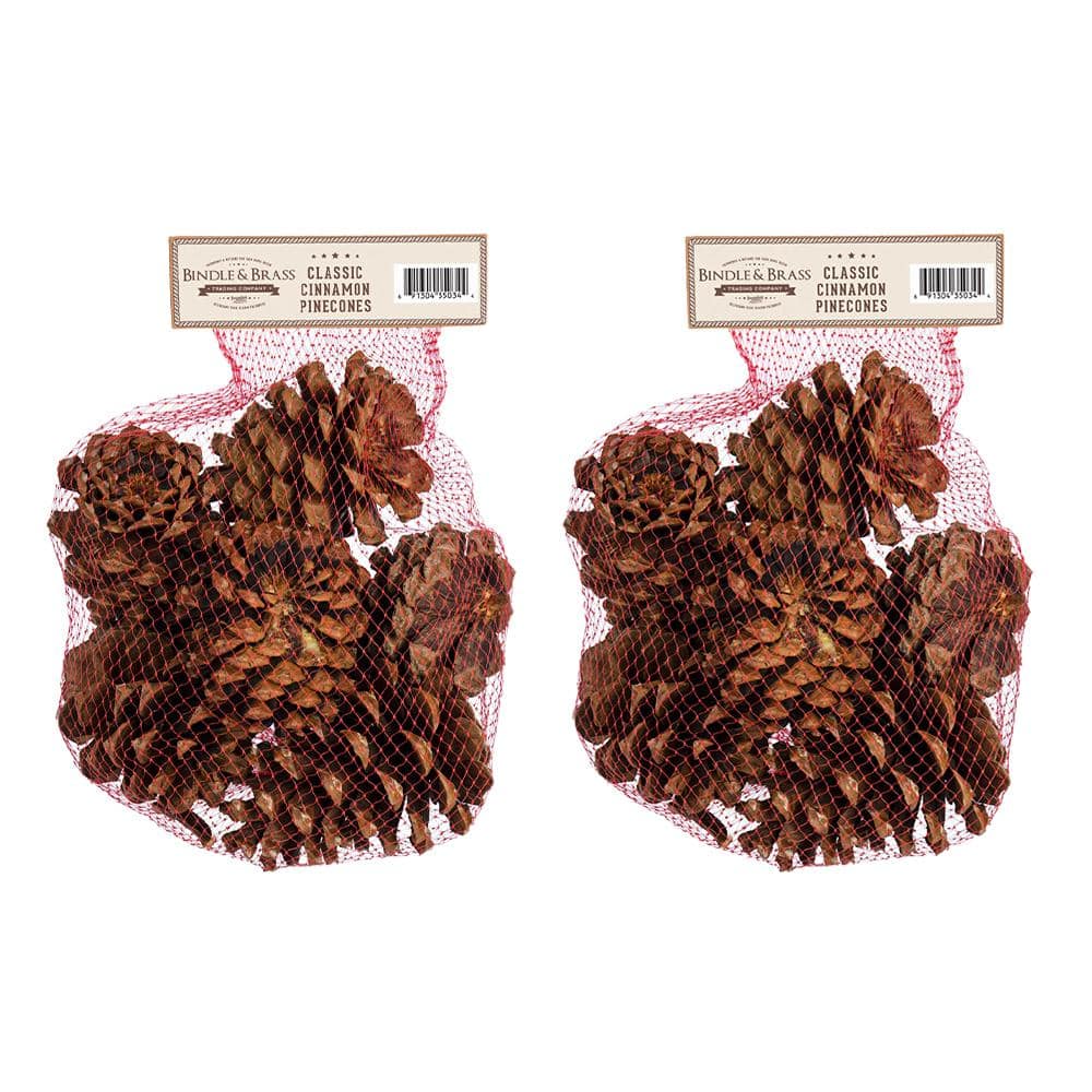 Cinnamon Scented Pinecone Bag (2-Pack) - Hercitys