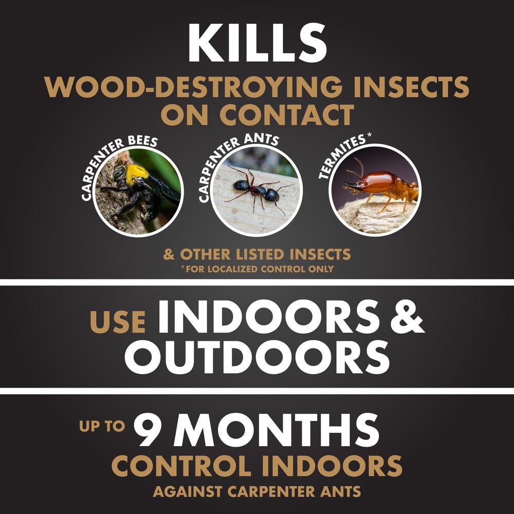 Terminate 1.3 Gal. AccuShot Ready-to-Use Termite and Carpenter Ant Killer Spray - Hercitys