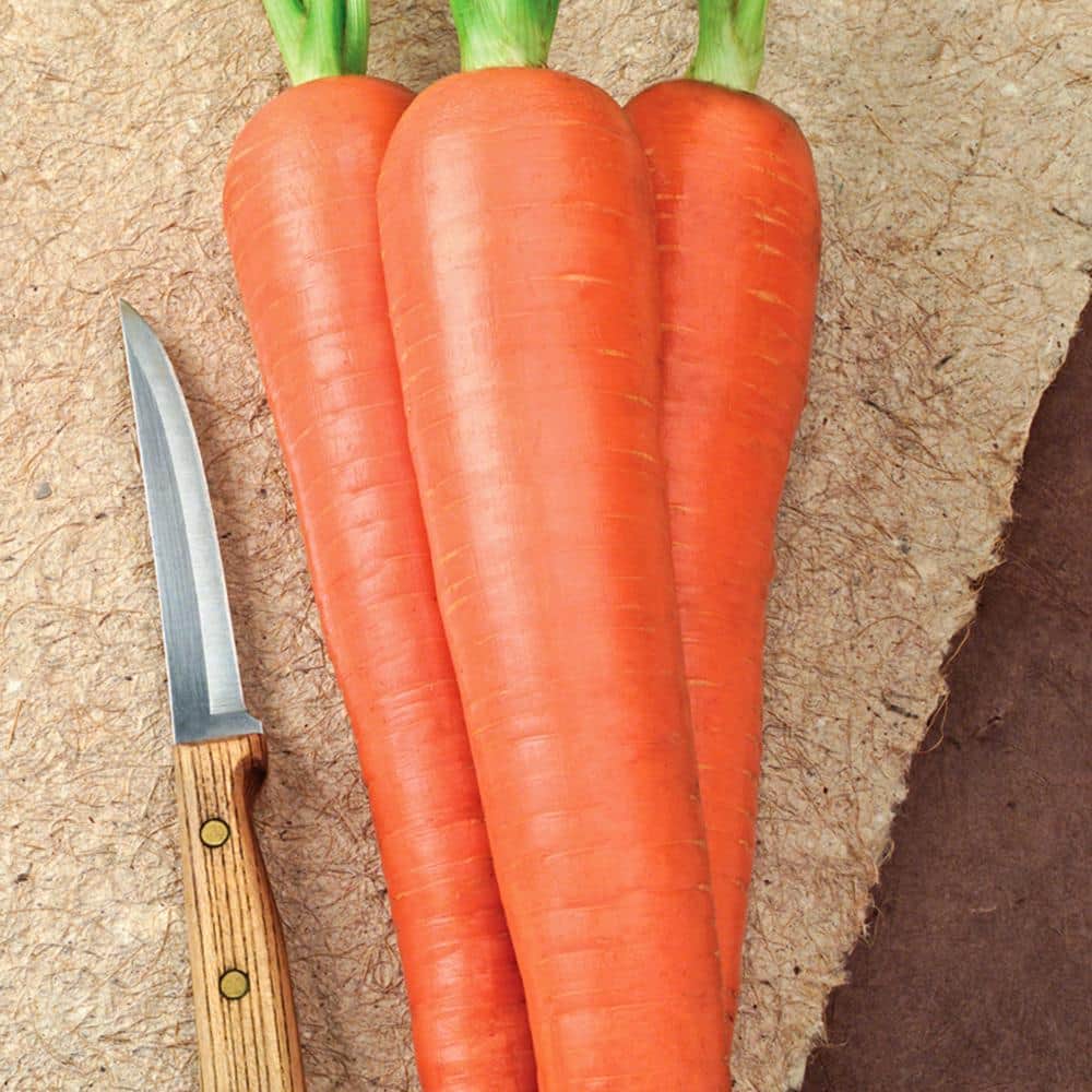 Carrot Envy Hybrid (15 ft. Seed Tape) - Hercitys