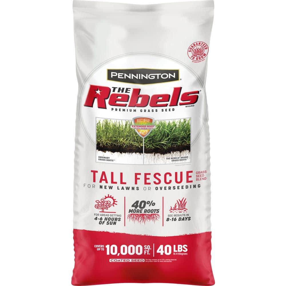 The Rebels 40 lb. 10,000 sq. ft. Tall Fescue Grass Seed Blend - Hercitys