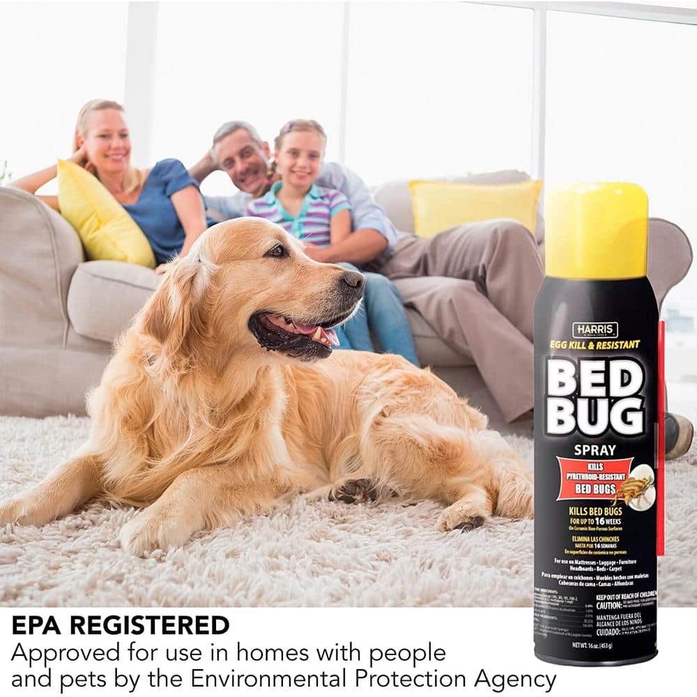 Egg Kill and Resistant Bed Bug Spray - Hercitys