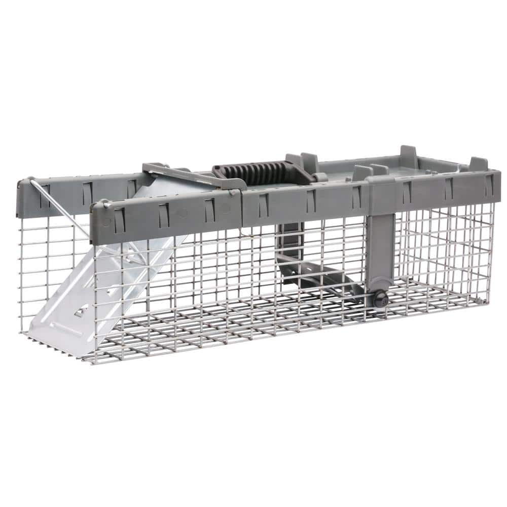Small 1-Door Humane Catch-and-Release Live Animal Cage Trap for Squirrel, Weasel, Chipmunk - Hercitys