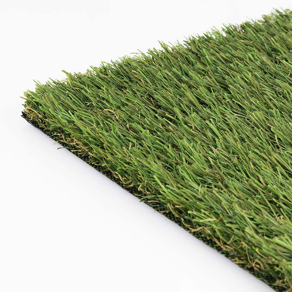 TruGrass Clover Fescue 12 ft. Wide x Cut to Length Green Artificial Grass Turf - Hercitys
