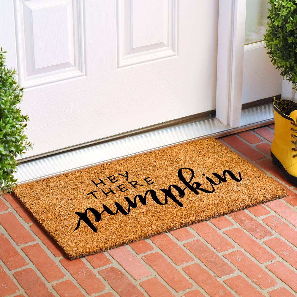 Hey There Pumpkin Doormat, 17″ x 29″ - Hercitys