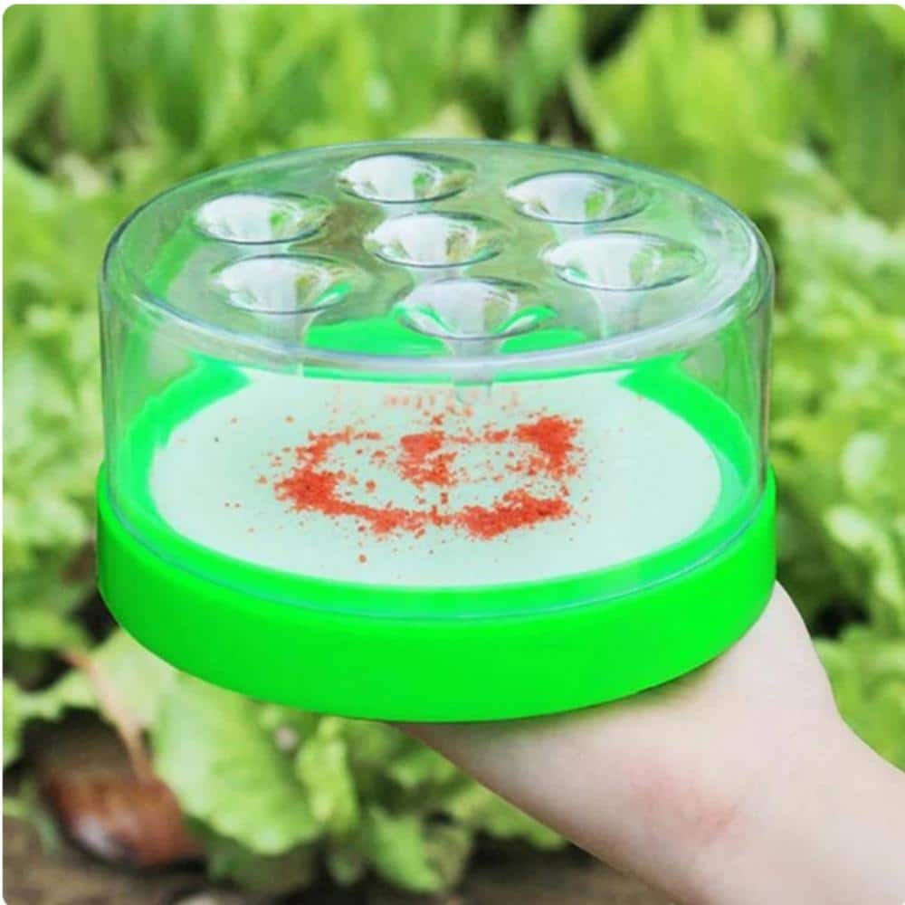 Indoor Fly Trap Box Insect Catcher Recycling Fly Traps Pest Control Device Mosquito Repeller Flytrap Catcher - Hercitys