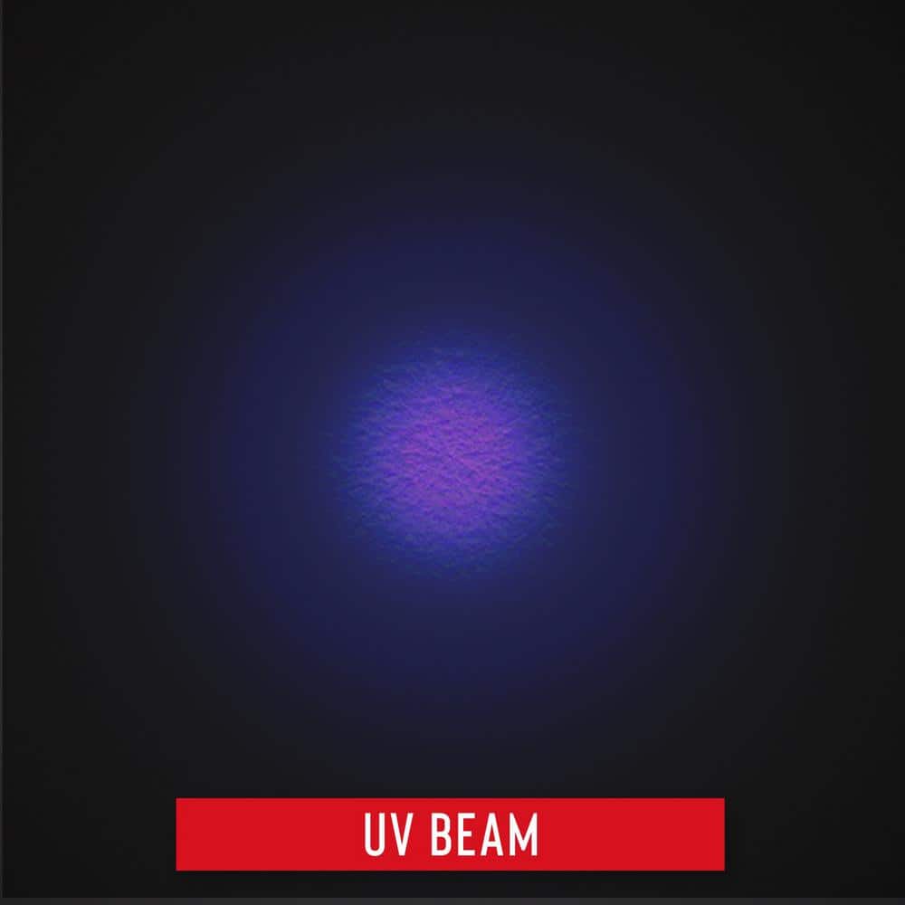 PX100 Scorpion Detecting UV Pocket Light - Hercitys