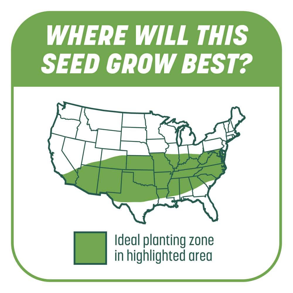 Smart Patch Tall Fescue 5 lb. 100 sq. ft. Grass Seed Bare Spot Repair with Mulch and Fertilizer - Hercitys