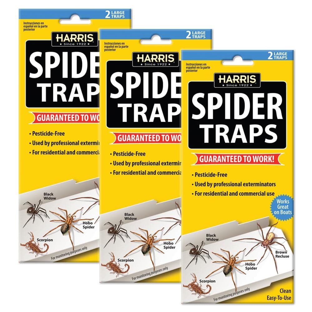 Spider Glue Traps (6-Pack) - Hercitys