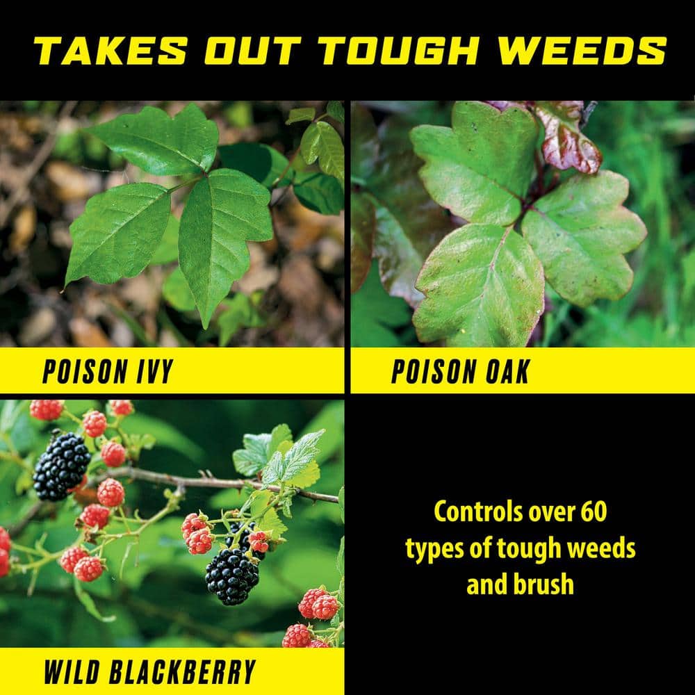 GroundClear 1 Gal. Poison Ivy and Tough Brush Ready-To-Use Weed Killer Spray with Comfort Wand - Hercitys