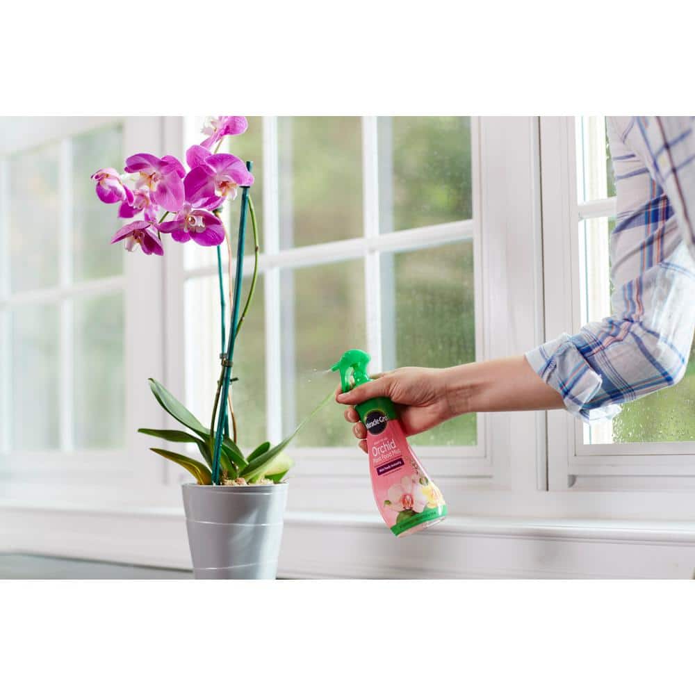 Ready-To-Use Orchid Plant Food Mist (2-Pack) - Hercitys