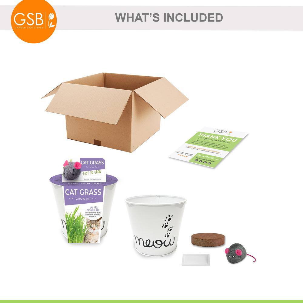 Cat Grass Herb Seed Grow Kit with Mouse Toy (2-Pack) - Hercitys