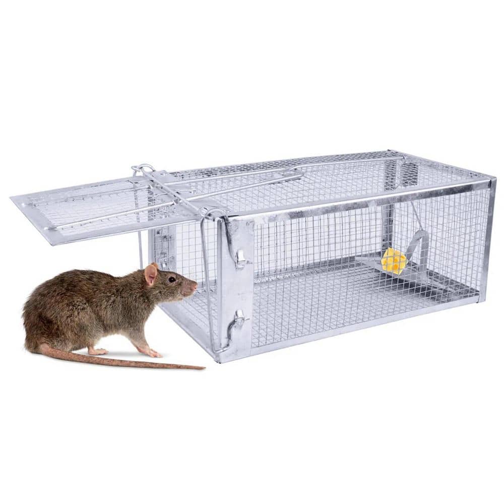 Rat Trap Cage Humane Live Rodent Trap Cage Mouse Control Bait Catch - Hercitys