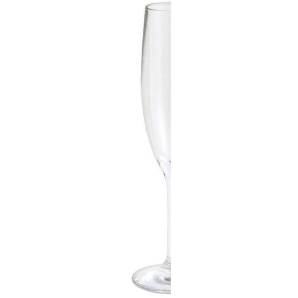 Revel 5.5 oz. Polycarbonate Champagne (Set of 6) - Hercitys